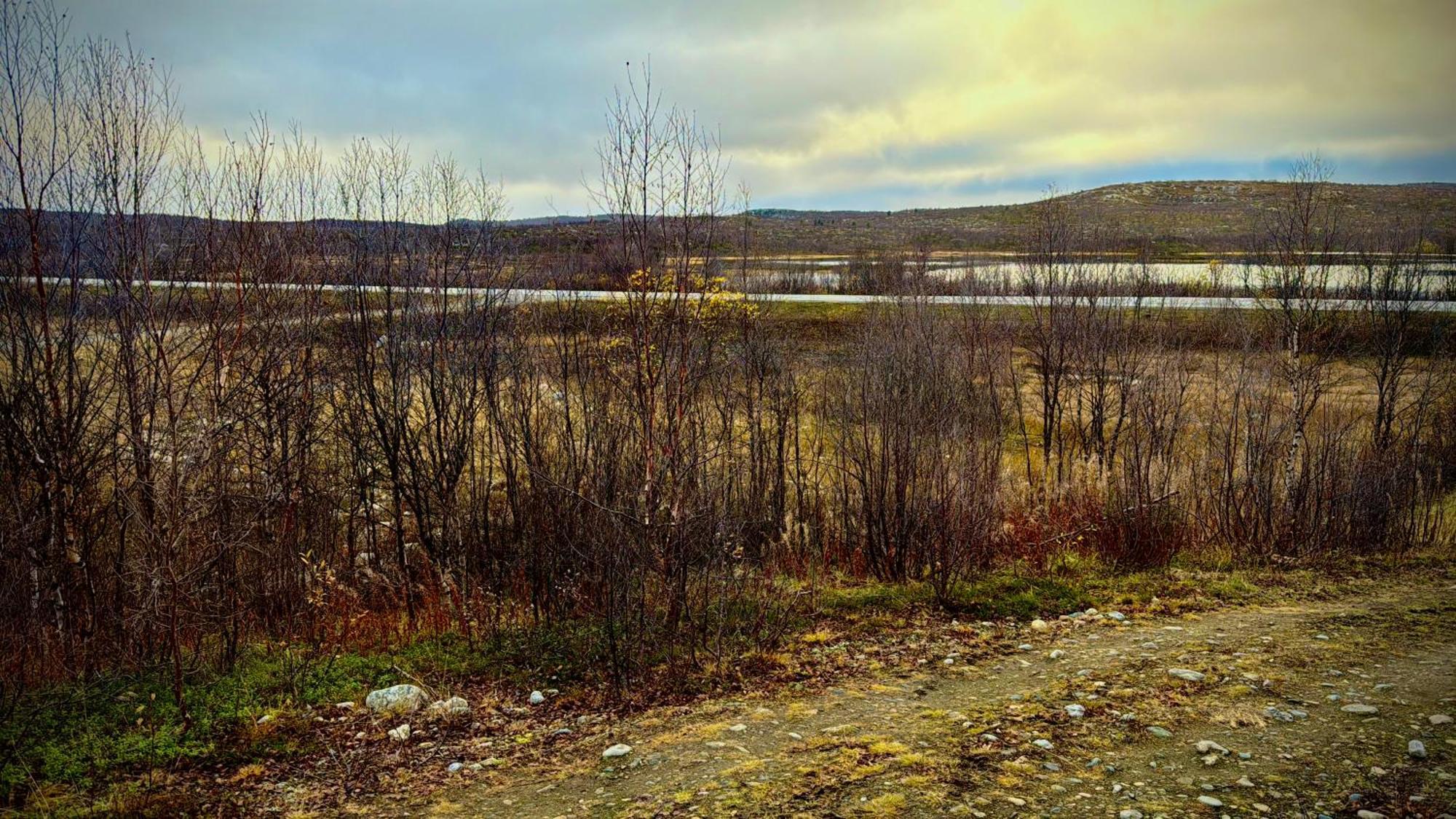Cottage Lavkavann Finnmarksvidda Skoganvarre Zewnętrze zdjęcie