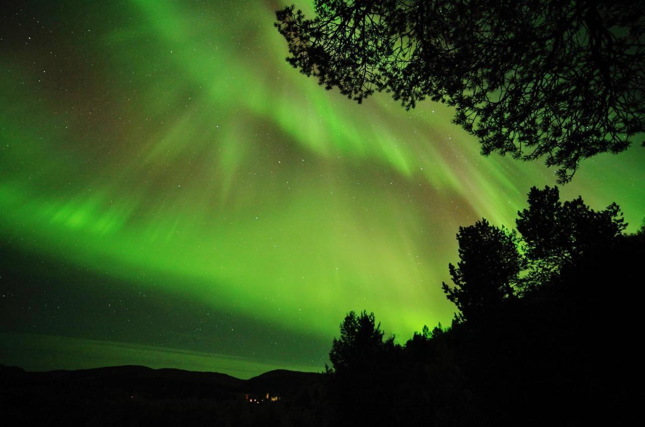 Cottage Lavkavann Finnmarksvidda Skoganvarre Zewnętrze zdjęcie