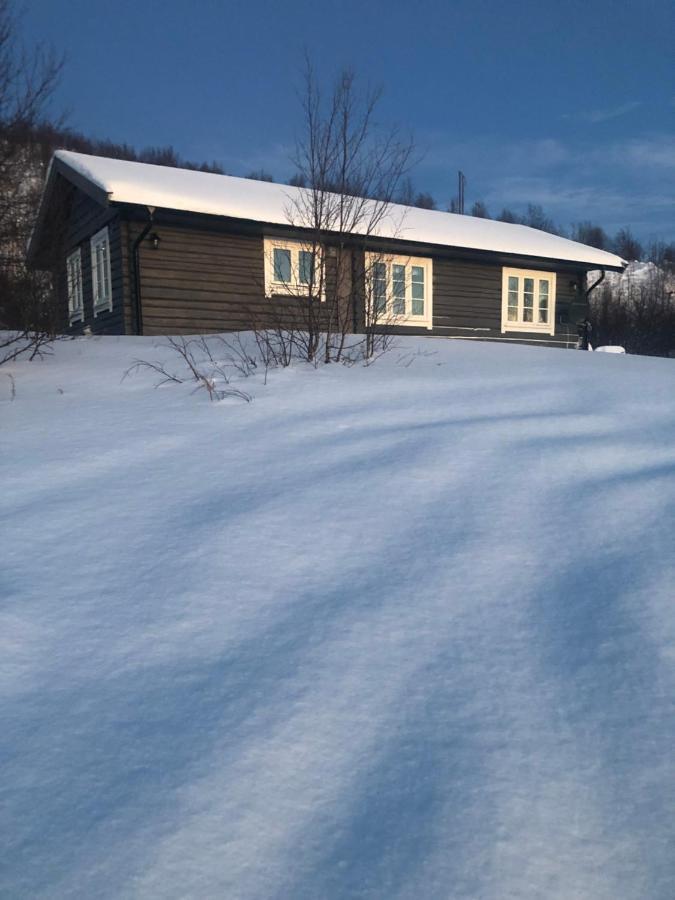 Cottage Lavkavann Finnmarksvidda Skoganvarre Zewnętrze zdjęcie